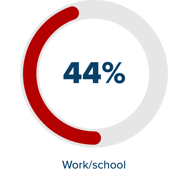 Work/school - 44%